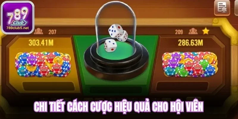 Chi tiết cách cược hiệu quả cho hội viên