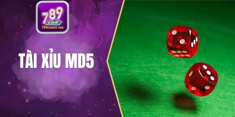 Tài Xỉu MD5 - Chiến Thuật Độc Quyền, Thắng Nhanh Tại 789Club
